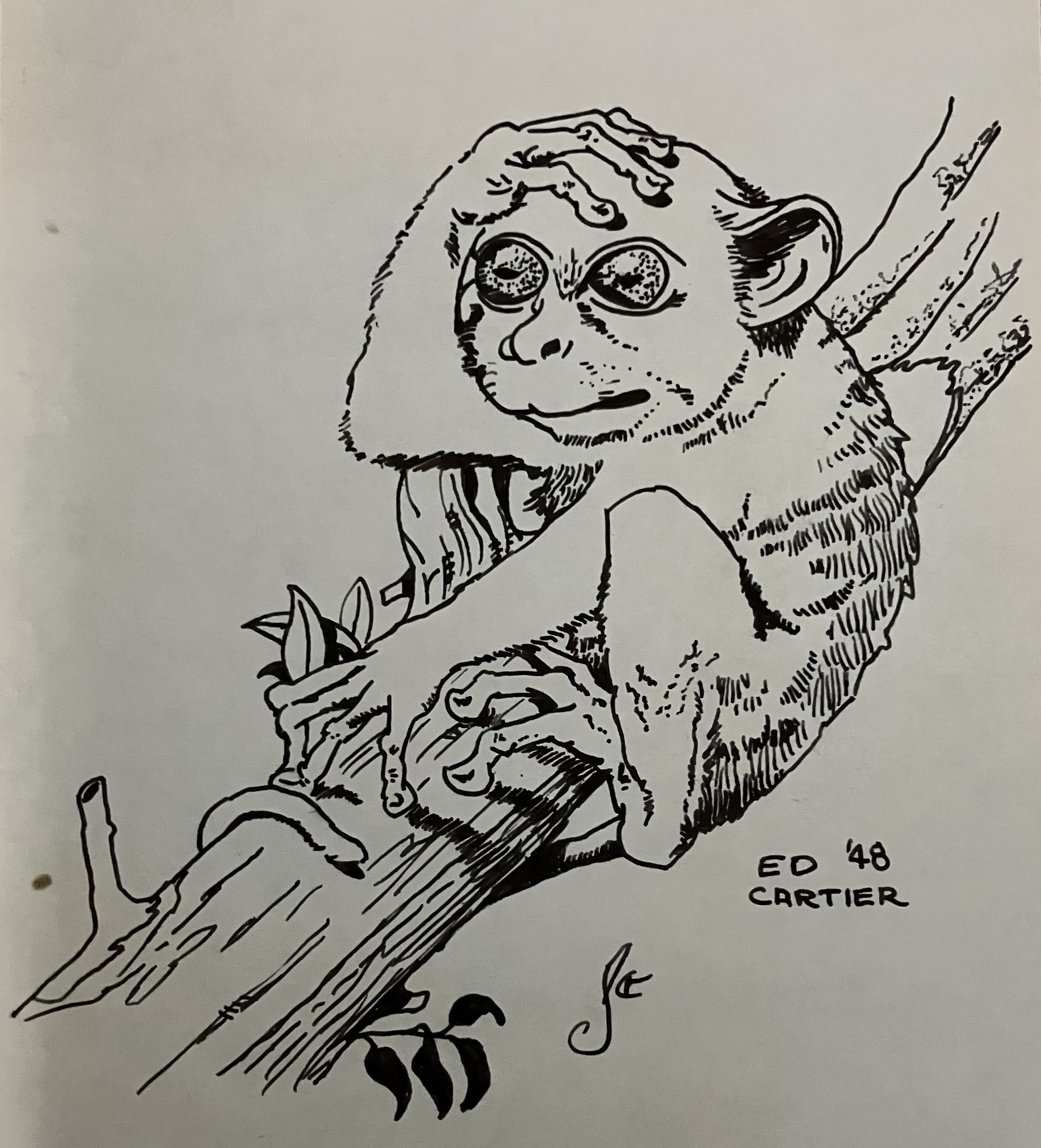 Creature in a tree by Edd Cartier 1948